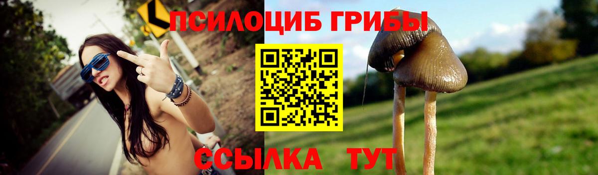 купить  сайты  Галлюциногенные грибы Magic Shrooms  Вход с VPN  Гудермес 
